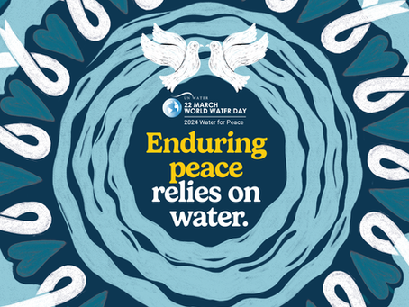 Celebrating World Water Day 2024: Join Save Our Fiji in Advocating for Clean Water Access