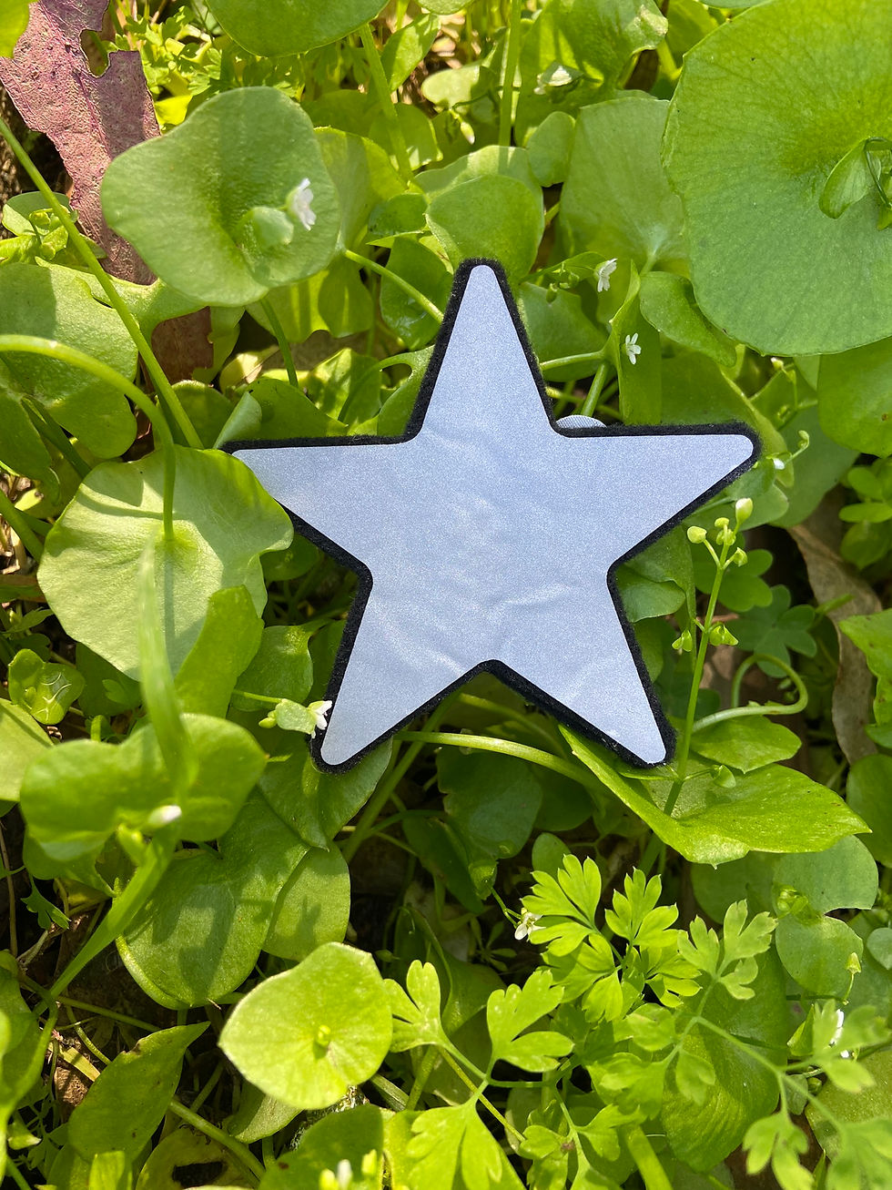 STAR
