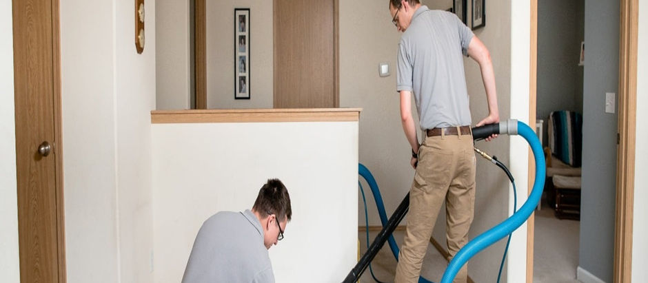 The Ultimate Guide to Carpet Cleaning: Keep Your Home Fresh and Allergen-Free