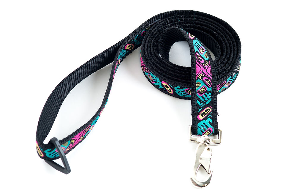 Thumbnail: 6ft Leashes