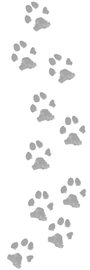 Paw Prints Complete K9_edited.png