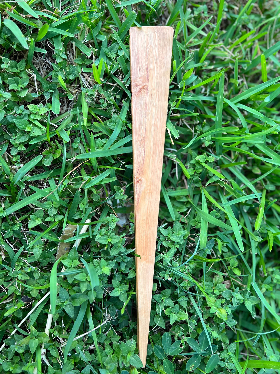 Cedar Elm Wooden Spatula