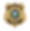 Policia penal rj.jpg