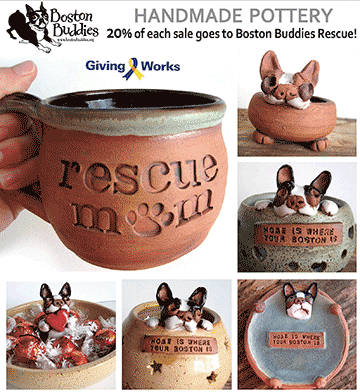 Sold for BOSTON BUDDIES