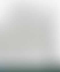 De nieuwe Ferguson Bode is uit