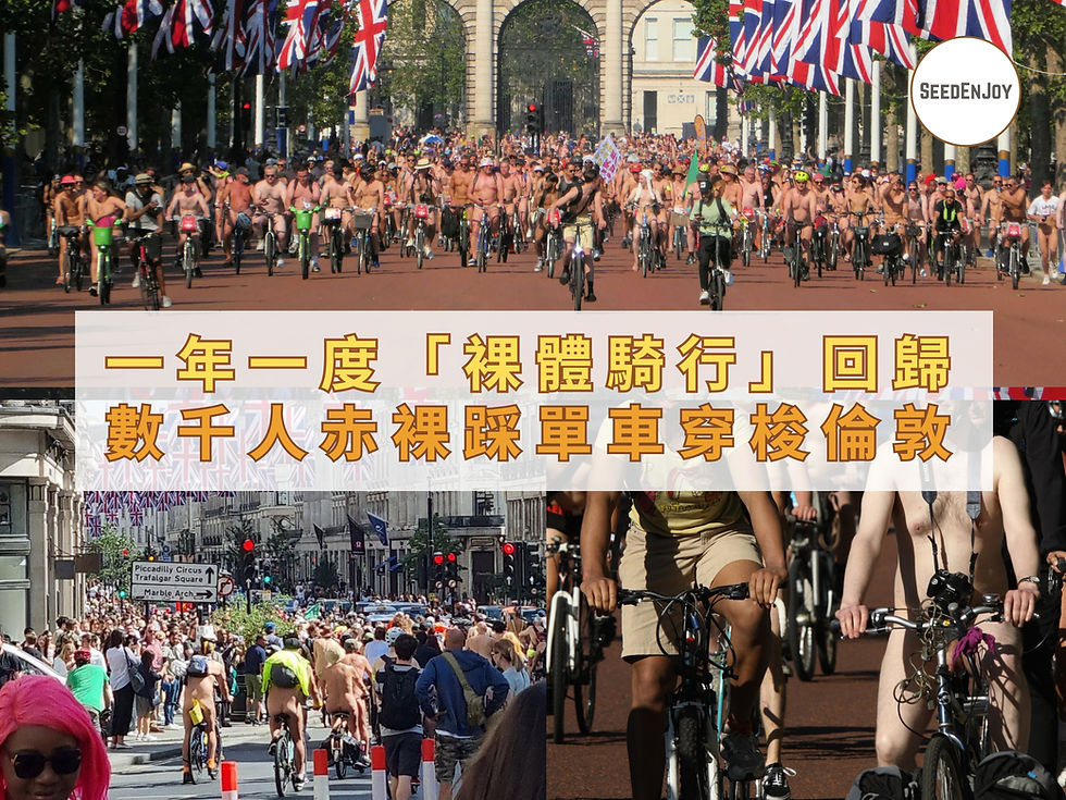 世界裸體騎行 (World Naked Bike Ride)