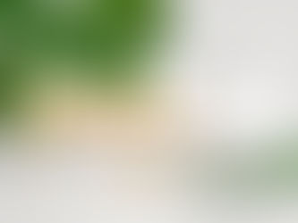 護膚化妝必看!英國不能錯過的美妝護膚品網店!