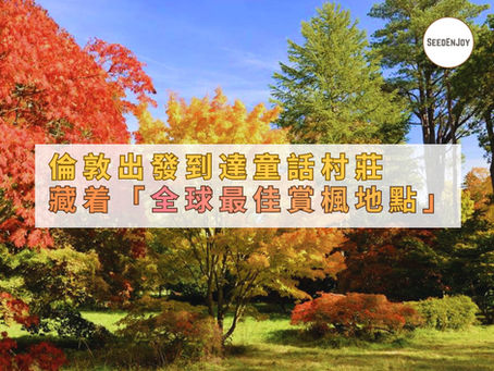 倫敦出發一小時到達童話村莊,藏着「全球最佳賞楓地點」