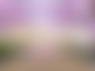 在英國媲美日本櫻花的11大賞櫻地點推介