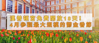 漢普頓宮免費開放18天!4月可參觀全英國最大規模的鬱金香節