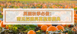 英國萬聖節親子活動: 農場摘南瓜