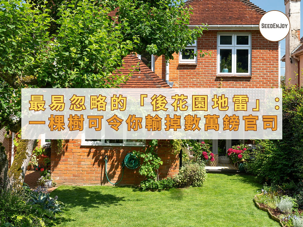 英國買樓最易忽略的「後花園地雷」：一棵樹可以令你輸掉數萬鎊官司