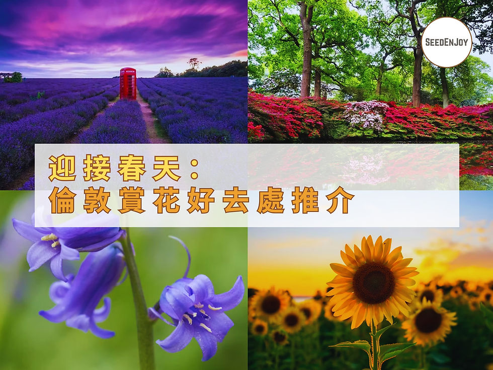 迎接春天的到來，倫敦賞花好去處