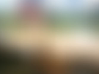 探索英國最具特色的狗狗行山徑