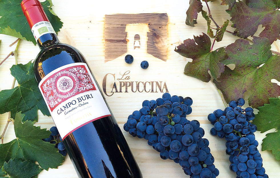 SOLD OUT Veneto Zoom Wine Dinner Event with Guest Speaker Sisto Tessari from Italy