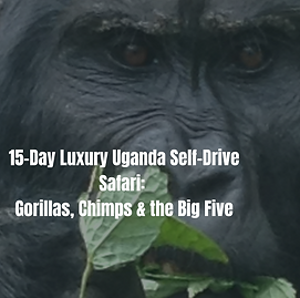 Uganda 15 days