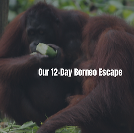 Screenshot 2025-05-05 at 10.53.22.png