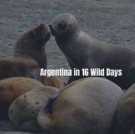 Screenshot 2025-05-05 at 10.55.33.png