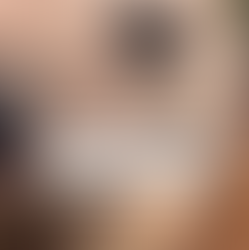 Chasing Koalas: Best Stops for Wildlife Lovers Between Melbourne and Sydney