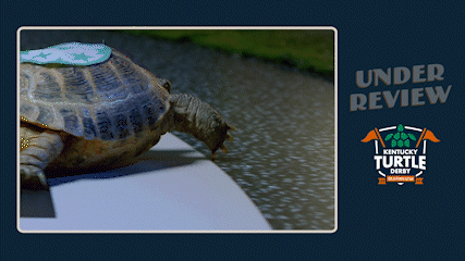KTD__Under_Review__GIF_AdobeExpress (1).gif