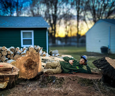 Arborist in Medina Ohio laying across a very large tree they removed