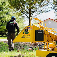 Daves-tree-service-Medina-Ohio