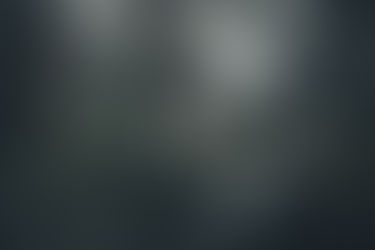 Fall Tree Care Tips for Medina, Ohio Homeowners