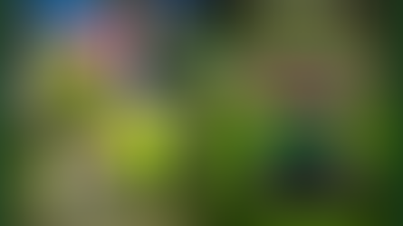 repping for a safe tree removal by the Medina fair