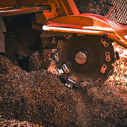 tree-stump-grinding-in-medina-ohio