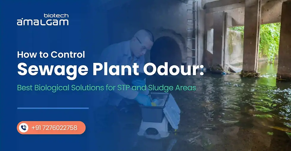 How to control sewage plant odour using biological solutions for STP and sludge areas