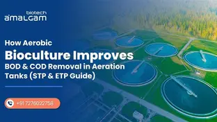 How Aerobic Bioculture Improves BOD and COD Removal in Aeration Tanks (STP & ETP Guide) 