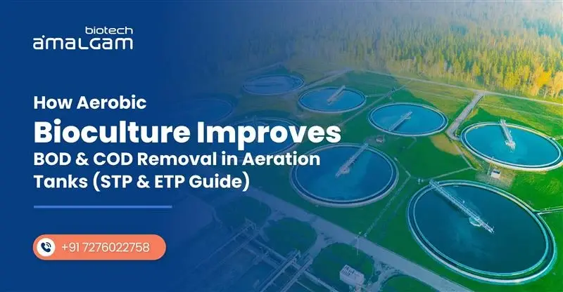 Aerobic bioculture improving BOD and COD removal in STP and ETP aeration tanks