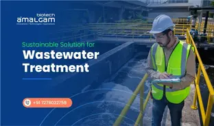 Reducing Environmental Impact: The Role of Chemicals in Sewage Treatment