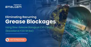 Case Study: Eliminating Recurring Grease Blockages Using Slow-Release Biological FOG Control (BactaServe FOG SR Bar)