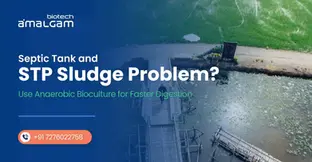 Septic Tank and STP Sludge Problem? Use Anaerobic Bioculture for Faster Digestion