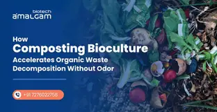 How Composting Bioculture Accelerates Organic Waste Decomposition Without Odor