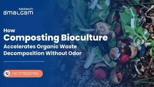 How Composting Bioculture Accelerates Organic Waste Decomposition Without Odor