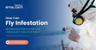 How Can Fly Infestation Be Reduced Without Harmful Chemicals in Industrial Areas?