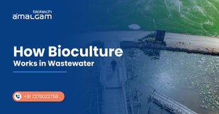 How Bioculture Works in Wastewater