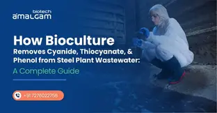 How Bioculture Removes Cyanide, Thiocyanate, and Phenol from Steel Plant Wastewater: A Complete Guide