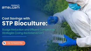 Cost Savings with STP Bioculture: Sludge Reduction and Effluent Compliance Strategies (Using BactaServe STP)