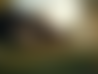 Benefits of Sober Living: Your Path to Recovery