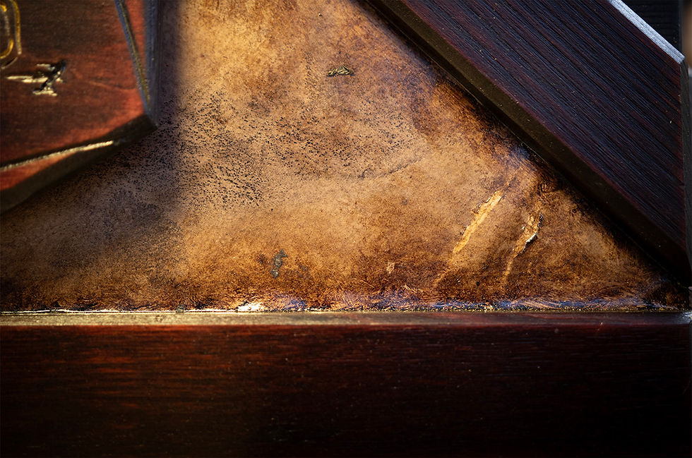 Plaster, Earth Pigments and Bitumen: How We Bring Our Tavern to Life