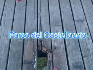 Capitolo 4 “Il buco sul ponte del Castellaccio” – Municipio IX.