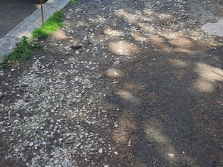 Via Caterina Troiani 