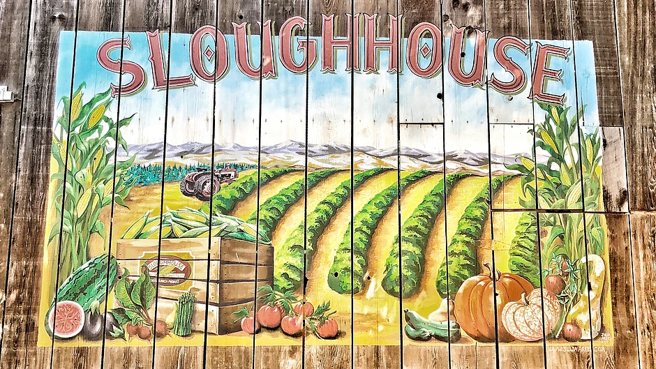 Davis Ranch: Sloughhouse