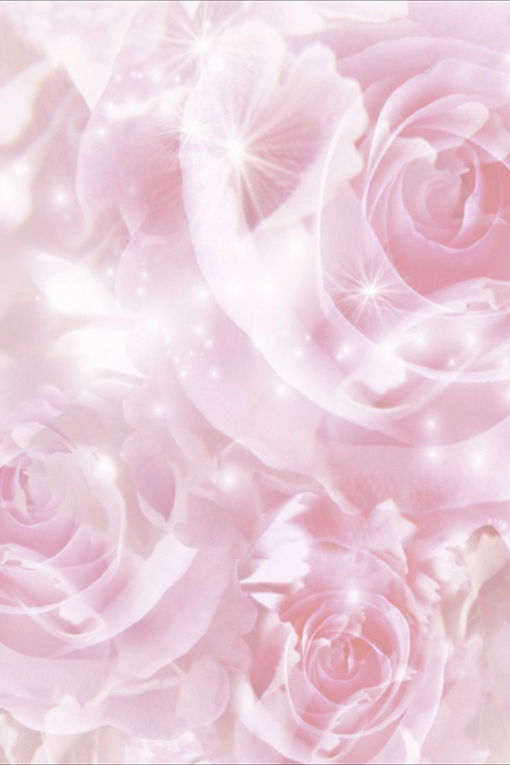 fond image rose poudré 1.jpg