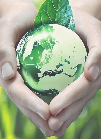 charte-de-l-environnement-le-texte-fonda