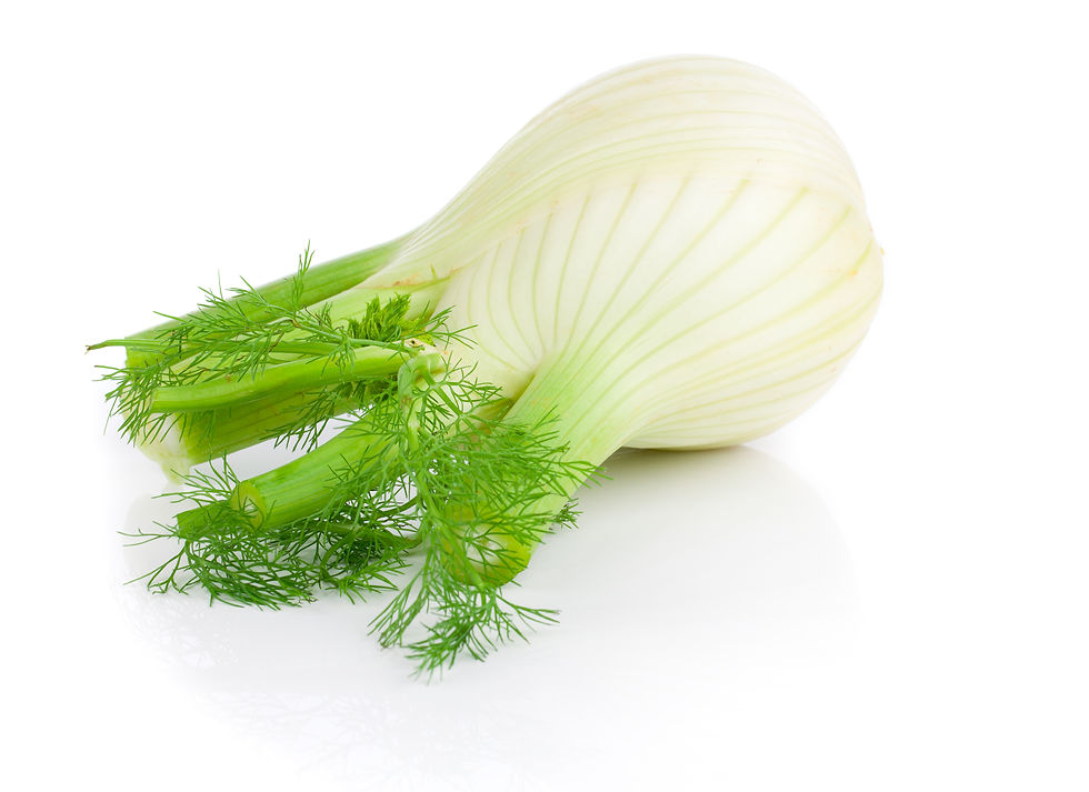Fennel