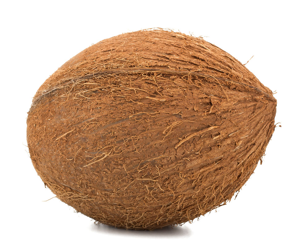 COCONET Coconuts per Net